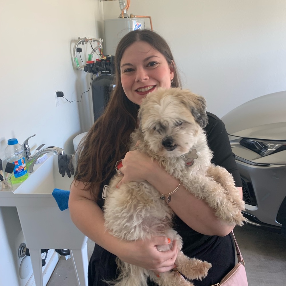 Meet your Posher, Katrina